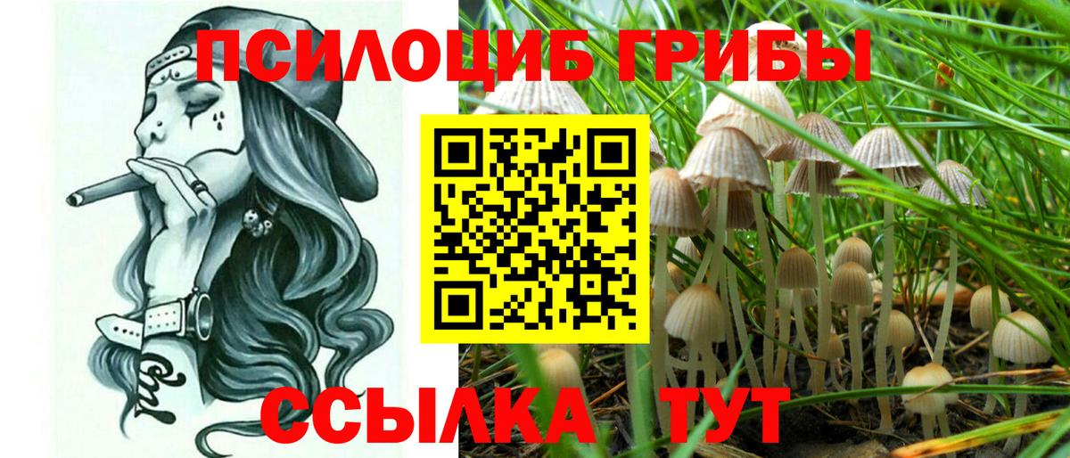 Псилоцибиновые грибы мицелий  Вход с VPN  Дедовск 